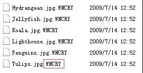 1535092123982925.jpg 2.jpg